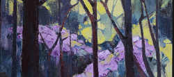 Windsor Great Park-Rhododendrons | 2016 | Oil on Canvas | 64 x 46 cmm